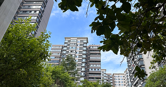 全国域名注册服务机构查询网站官方