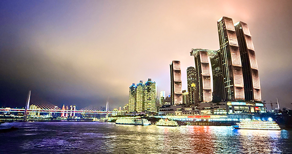 国家域名电子证书查询系统官方网站