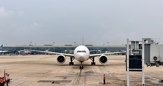 开放域名查询网站官方