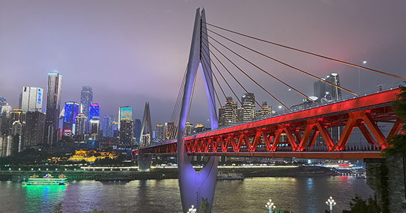 有没有官方渠道查询域名的注册者信息平台